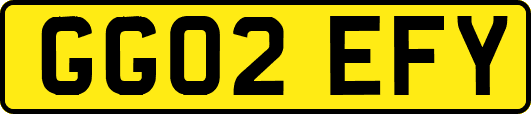 GG02EFY