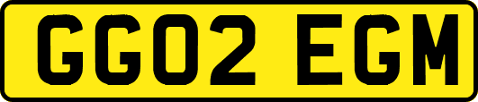 GG02EGM