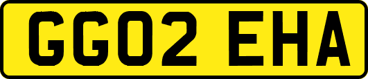 GG02EHA