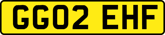 GG02EHF