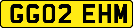 GG02EHM