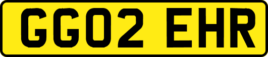 GG02EHR