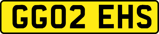 GG02EHS