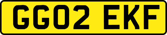 GG02EKF