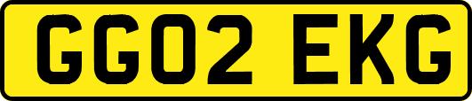 GG02EKG