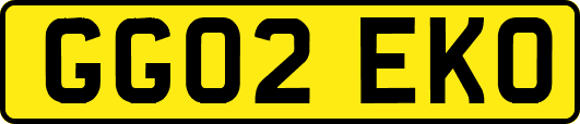 GG02EKO