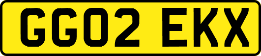 GG02EKX