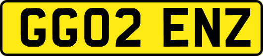 GG02ENZ