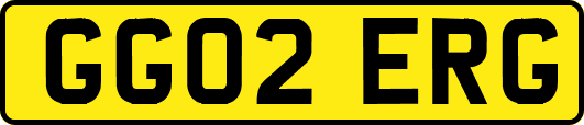 GG02ERG