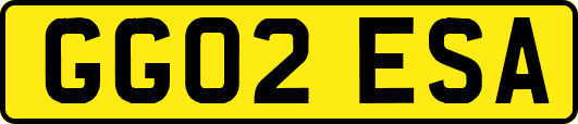 GG02ESA