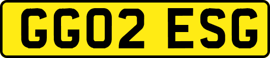 GG02ESG