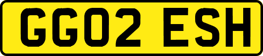 GG02ESH