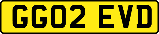 GG02EVD