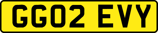 GG02EVY