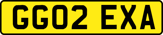 GG02EXA