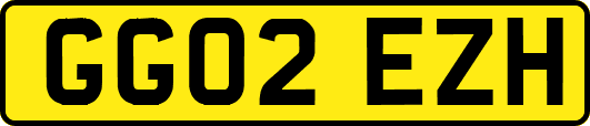 GG02EZH