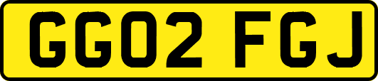 GG02FGJ