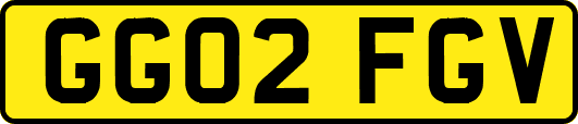 GG02FGV