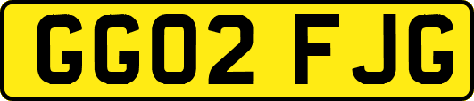 GG02FJG