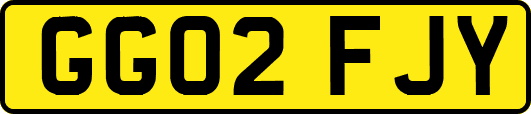 GG02FJY