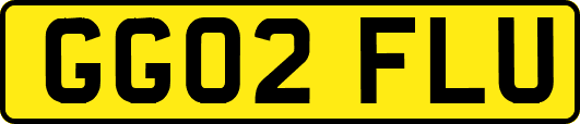 GG02FLU