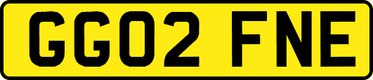 GG02FNE