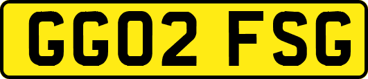 GG02FSG