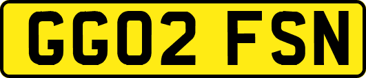 GG02FSN
