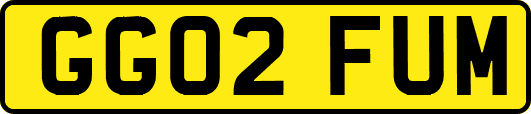GG02FUM