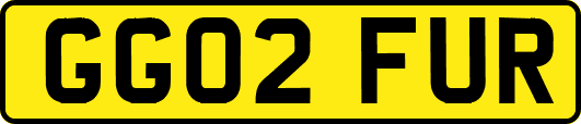 GG02FUR