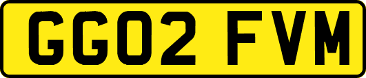 GG02FVM