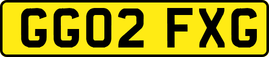GG02FXG