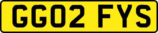 GG02FYS