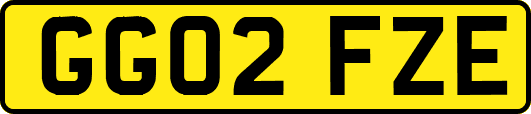 GG02FZE