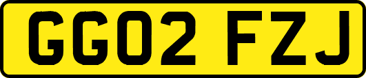 GG02FZJ