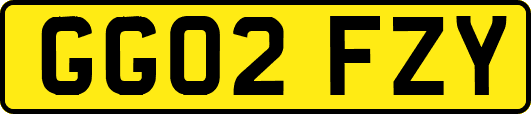 GG02FZY