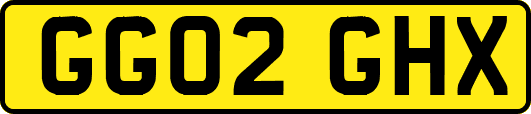 GG02GHX