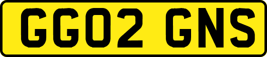 GG02GNS