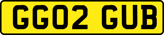 GG02GUB