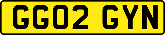 GG02GYN