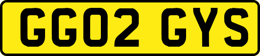 GG02GYS
