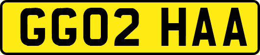 GG02HAA