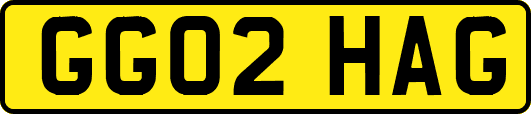 GG02HAG