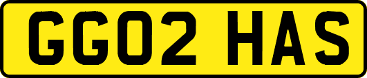 GG02HAS