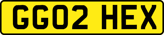 GG02HEX