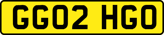 GG02HGO