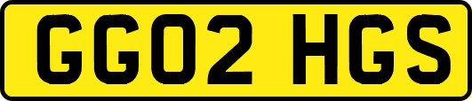 GG02HGS