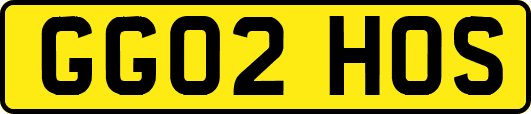 GG02HOS