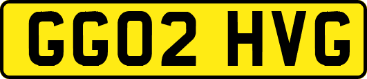 GG02HVG
