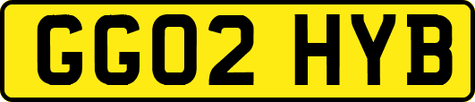 GG02HYB